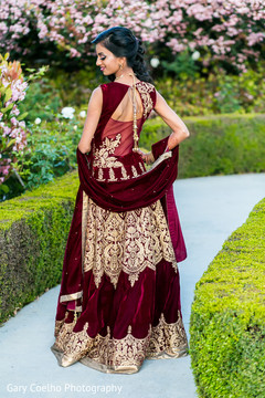 Graceful maharani photo Graceful maharani photo