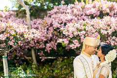 Indian lovebirds intimate moment Indian lovebirds intimate moment