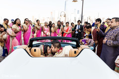 Indian lovebirds farewell. Indian lovebirds farewell.