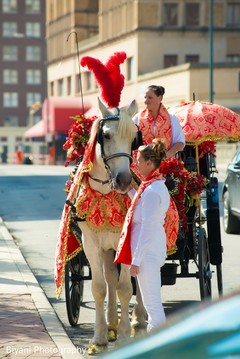 Magnificent Baraat horse. Magnificent Baraat horse.
