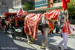 Wonderful baraat carriage. Wonderful baraat carriage.