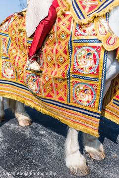 Baraat horse outfit Baraat horse outfit