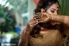 Indian bridal henna art Indian bridal henna art