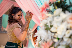 Elegant indian bride posing for photo shoot Elegant indian bride posing for photo shoot