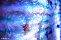 Fabulous indian wedding reception floral decor indian wedding reception,indian wedding reception floral and decor
