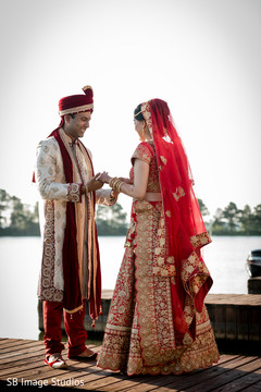 Indian lovebirds first look Indian lovebirds first look