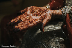 Amazing indian bride's mehndi Amazing indian bride's mehndi