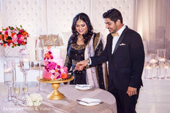 Indian couple cutting their wedding cake Indian couple cutting their wedding cake