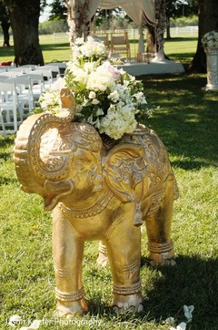 Wonderful elephant decor Wonderful elephant decor