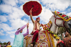 Indian groom riding white baraat horse indian wedding baraat,baraat procession,baraat horse,indian groom