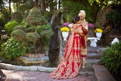 Adorable Indian lovebirds outdoors capture. Adorable Indian lovebirds outdoors capture.