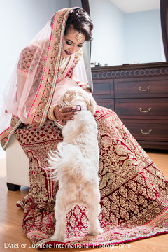 Lovely indian bride with dog capture Lovely indian bride with dog capture