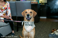 Special bride and groom's dog of honor. Special bride and groom's dog of honor.