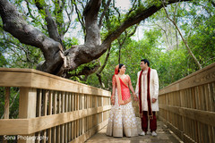 Adorable Indian lovebirds outdoors capture. Adorable Indian lovebirds outdoors capture.