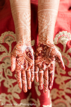 Fabulous indian bride's mehndi art indian wedding gallery,indian bride,mehndi art