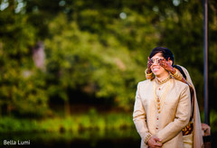 Indian lovebirds magical capture. Indian lovebirds magical capture.