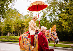 Elegant Indian groom riding baraat white horse. indian pre-wedding celebration,baraat procession,baraat,indian groom