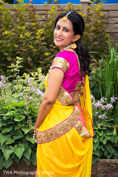 Lovely maharani in a colorful sari Lovely maharani in a colorful sari