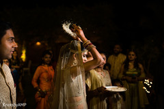 Indian bride throwing rice over her head bridal lengha,indian bride fashion