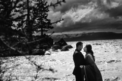 Indian lovebirds heartwarming moment Indian lovebirds heartwarming moment