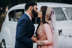 Indian lovebirds capture Indian lovebirds capture