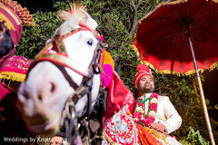 Indian groom riding white baraat horse Indian groom riding white baraat horse