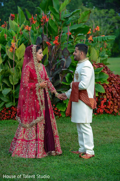 Indian lovebirds magical capture. Indian lovebirds magical capture.