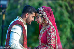 Indian lovebirds magical capture. Indian lovebirds magical capture.