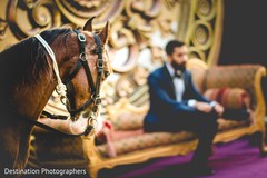 Indian groom photoshoot Indian groom photoshoot