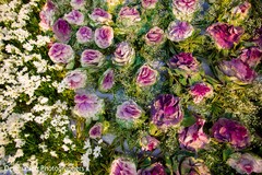 Wonderful floral decor Wonderful floral decor