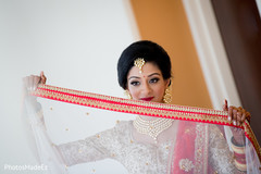 Delightful indian bride Delightful indian bride