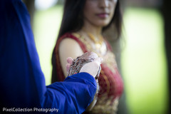 Indian lovebirds sweet shot Indian lovebirds sweet shot
