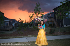 Fabulous indian bride portrait Fabulous indian bride portrait