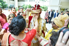 Indian groom enjoying baraat capture. Indian groom enjoying baraat capture.