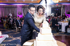 Cheerful Indian bride and groom cutting the cake. Cheerful Indian bride and groom cutting the cake.