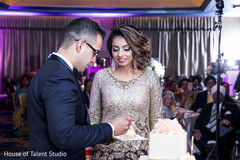 Indian wedding reception cutting the cake moment. Indian wedding reception cutting the cake moment.