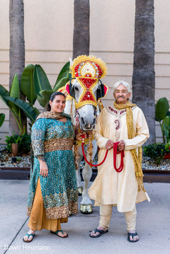 Indian wedding baraat guest posing with baraat horse. Indian wedding baraat guest posing with baraat horse.