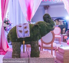 Marvelous Indian wedding ceremony elephant decoration. Marvelous Indian wedding ceremony elephant decoration.