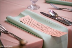 Exquisite Indian mehndi party menu. Exquisite Indian mehndi party menu.