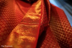 A detail of the fabric used by the Maharani. A detail of the fabric used by the Maharani.