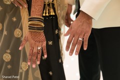 Indian lovebirds showing rings capture Indian lovebirds showing rings capture