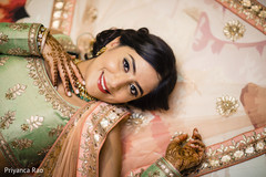 Graceful maharani colorful capture. Graceful maharani colorful capture.