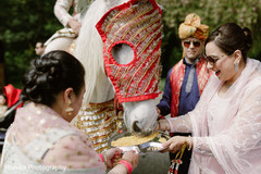 Baraat procession capture Baraat procession capture