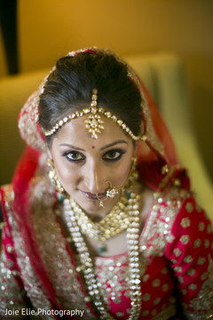 Stunning maharani wearing the bridal Nath and the Tikka Stunning maharani wearing the bridal Nath and the Tikka