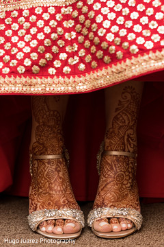 Indian bride mehndi art Indian bride mehndi art
