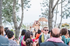 Gorgeous Indian groom on a white baraat horse capture. Gorgeous Indian groom on a white baraat horse capture.