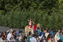 The Indian groom arrives in the Ghodi for the Baraat The Indian groom arrives in the Ghodi for the Baraat
