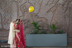 Indian lovebirds first look Indian lovebirds first look