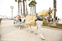 Elegant Indian groom riding on a baraat carriage with white horse. Elegant Indian groom riding on a baraat carriage with white horse.