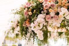 Detail of the beautiful plants used for the decoration Detail of the beautiful plants used for the decoration